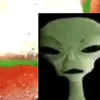 cow_dud