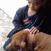 elsallanera