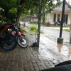 Ashari Akbar