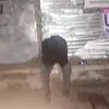 ckiee03
