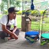 bramginting29