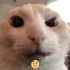 dantedarmaya388