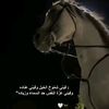 ra_r917