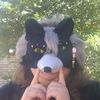 drakothehybridwolf