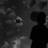 lehuyhoang_17