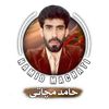 hamidmachati3680