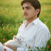 jamshidkhan9336