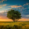 lifepath5_