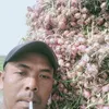 jasswadi333