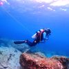 scubadivelog