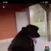 giuseppe_grottola0