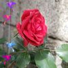 userjlncj2fq54