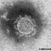 kagosimadaisensei