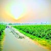 abdulhameed.dgk