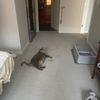 timothythompson_95