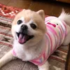 coronechan