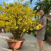 hanhnguyen_1011