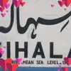 mubarak.hussain294