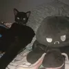 kingvhurrr