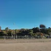 saelalam