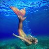 The Drifting Siren
