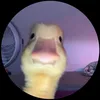 einsmuliis