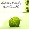 abid.wadani