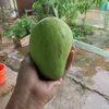 thuannguyen_83