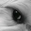 user6xkl6b8o1o
