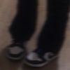 its_qailah