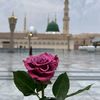 زٍيّےـنٌےـبّےـ ـ ♡♡