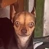 leonel_yippiee