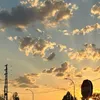 saray.prz7