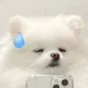anneonfilm