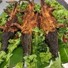 Delicious food every day