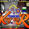 tinkuskaysurusa