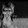 نيّم،اصقير🎀.