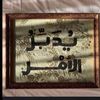 sandy.ashraf81