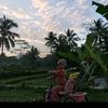 hajiipanbawal