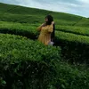 emelda811