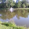 fobert.com