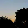 z_310705