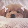 carolann123__