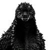 chuygojira