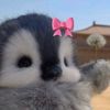 st4rgirll1112