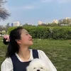 ピノ