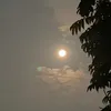 _bgold68_
