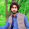 khalilshahwani31