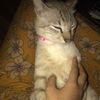 elsaaaprilliaa