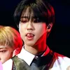 StrayKids.STAY